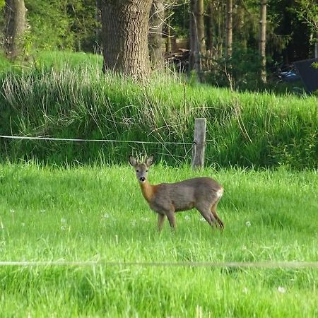 Charmante Ferienwohnung In Idyllischer Lage Jever Buitenkant foto