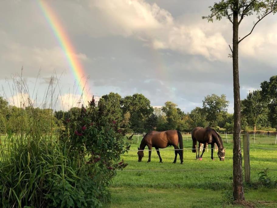 Charmante Ferienwohnung In Idyllischer Lage Jever Buitenkant foto