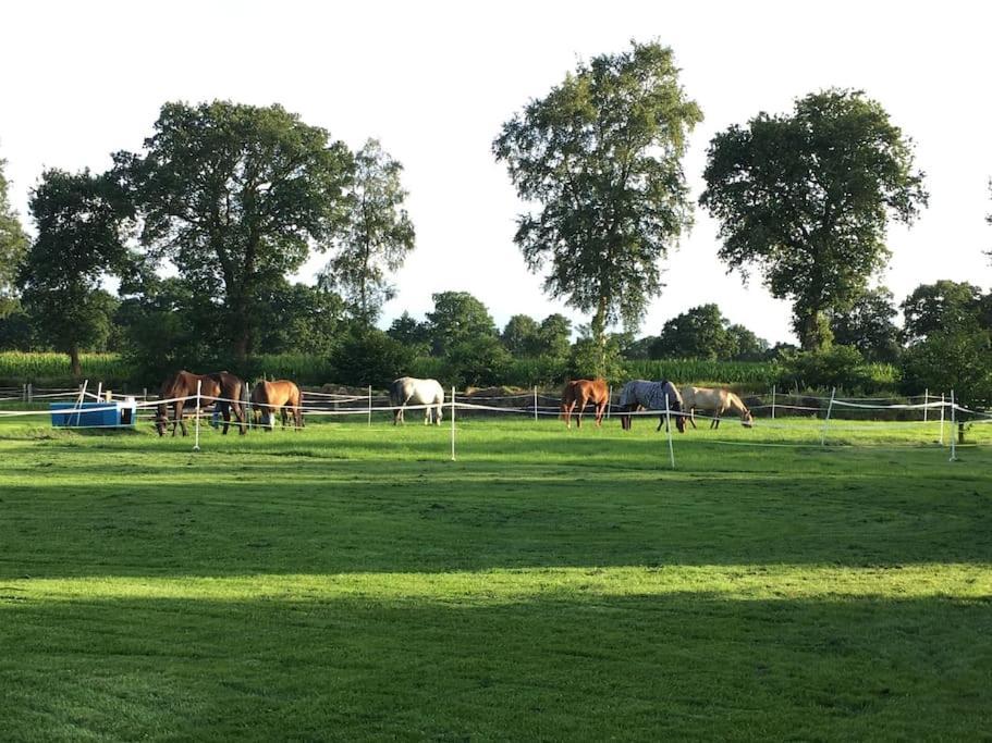 Charmante Ferienwohnung In Idyllischer Lage Jever Buitenkant foto